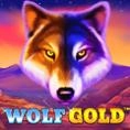 Wolf-Gold